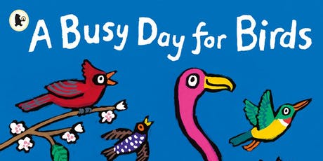 busy-day-for-birds
